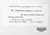 Image Associated With the Occurence